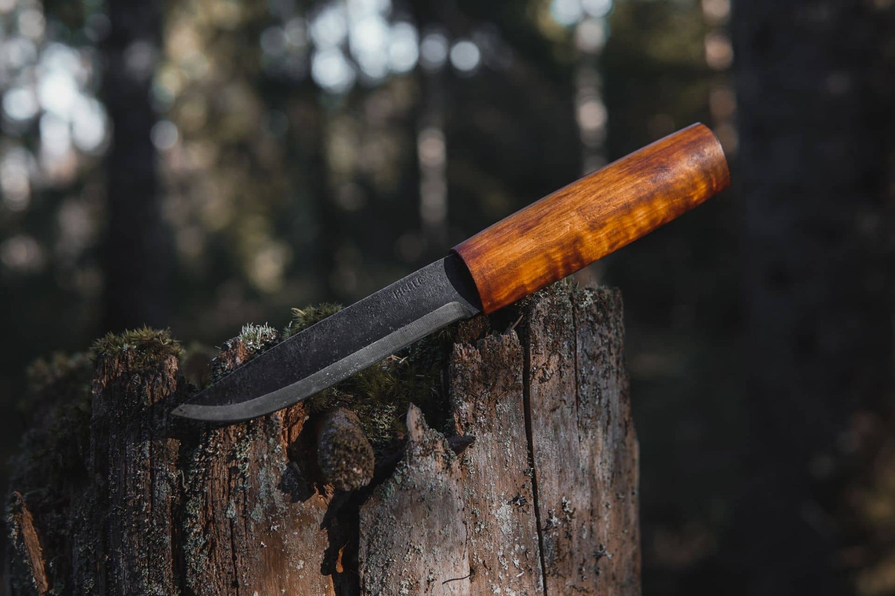 Helle Viking